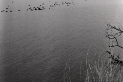 70mmtest07