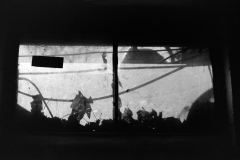 DSC02854