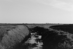 DSC02861