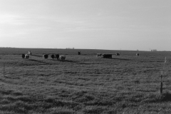 DSC02862