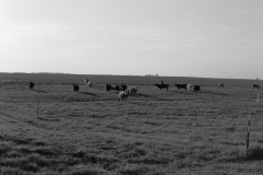 DSC02863