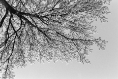 DSC02864-2