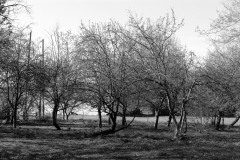 DSC02873