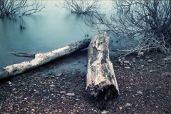 test-Untitled00003