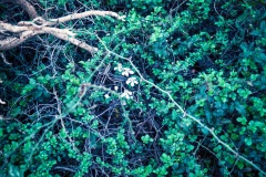 test-Untitled00006