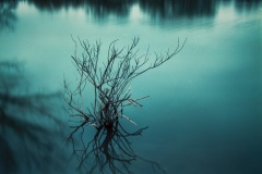 test-Untitled00009