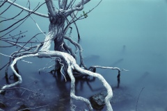 test-Untitled00010