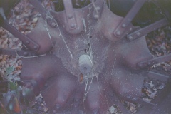 test-Untitled00007