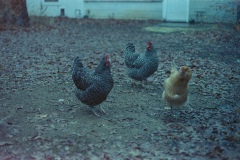 test-Untitled00008