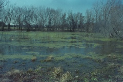 test-Untitled00012